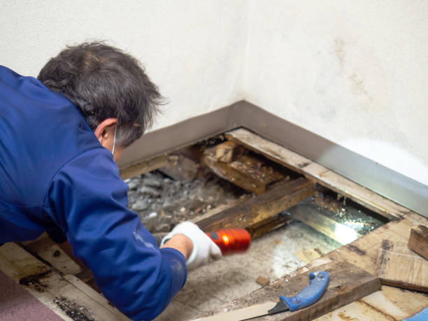 Best HVAC Mold Remediation in Danville, PA